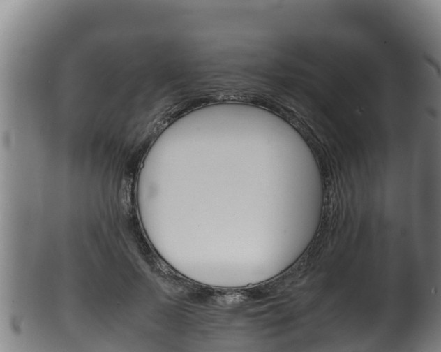X0000100380695200806060826