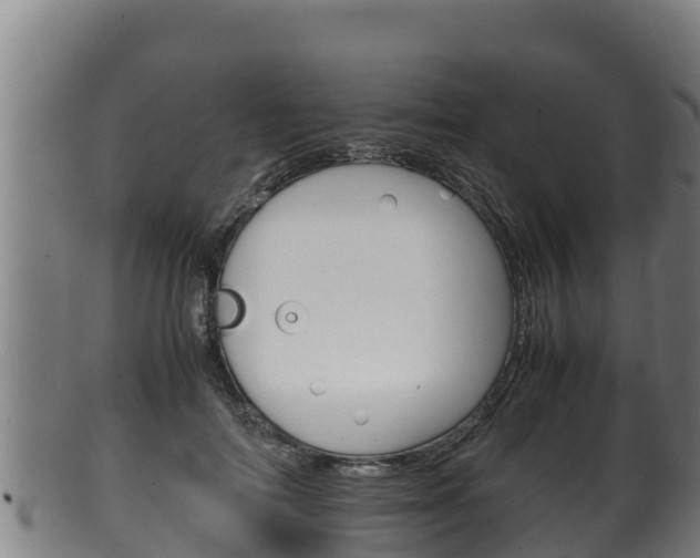 X0000100380698200806060826