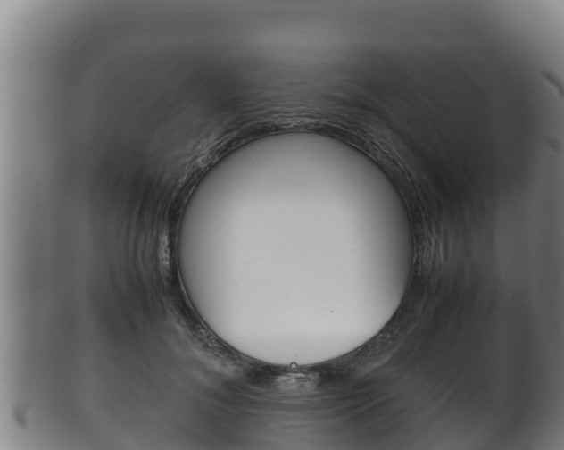 X0000100380700200806060826