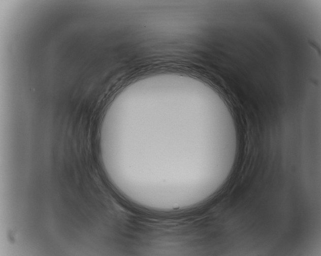 X0000100380701200806060826
