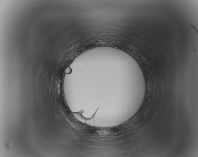 X0000100380703200806060826