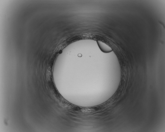 X0000100380707200806060826