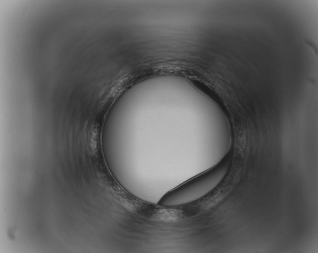 X0000100380708200806060826