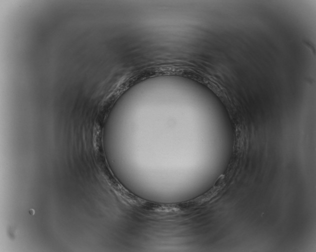 X0000100380712200806060826