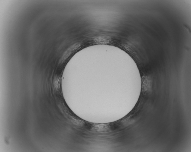 X0000100380713200806060826