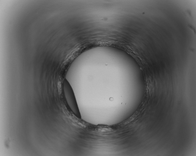 X0000100380716200806060826
