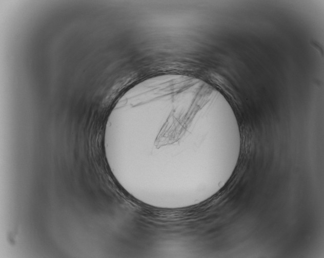 X0000100380717200806060826