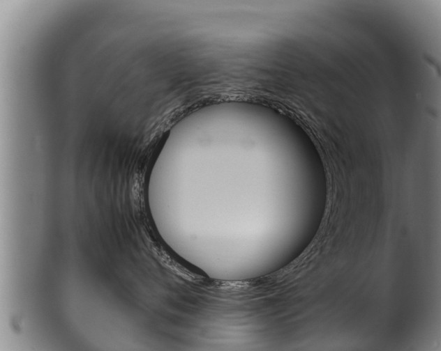 X0000100380720200806060826