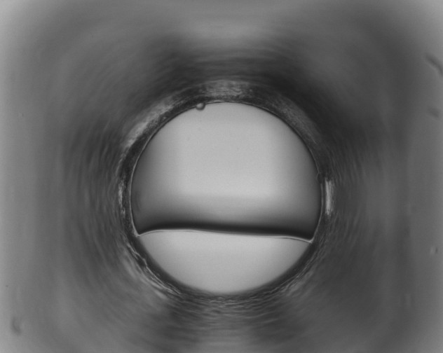 X0000100380723200806060825
