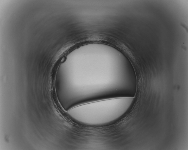 X0000100380724200806060825