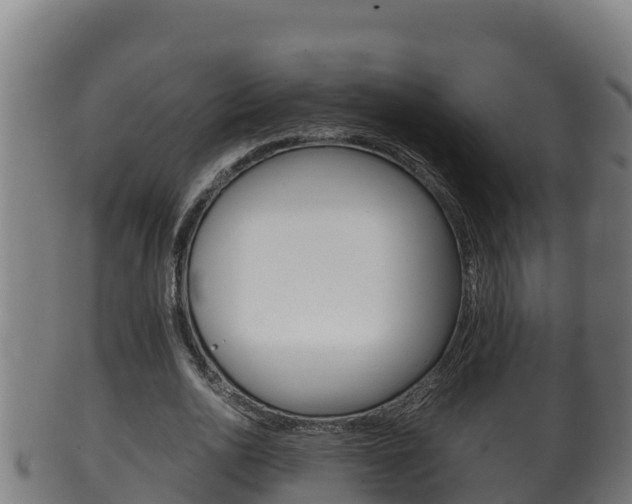 X0000100380726200806060825