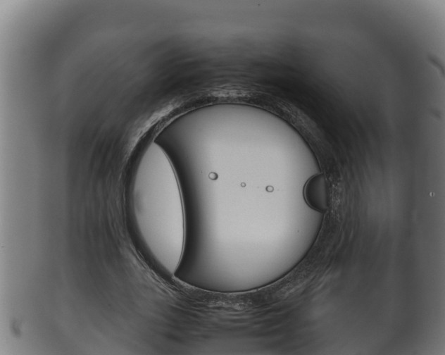 X0000100380727200806060825