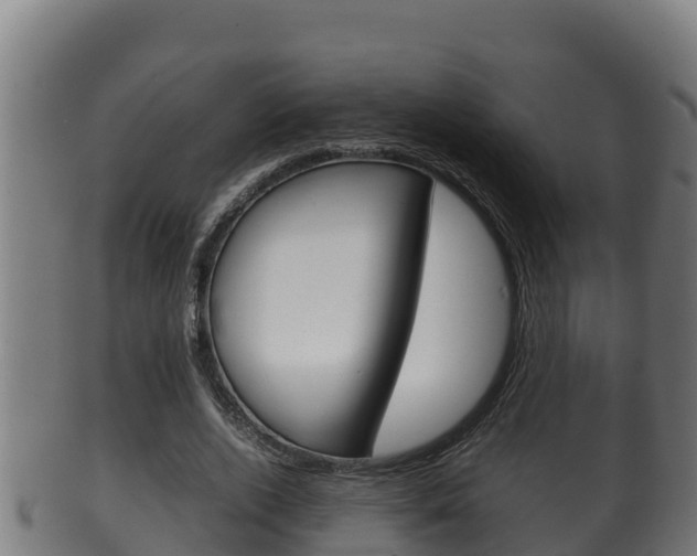 X0000100380728200806060825