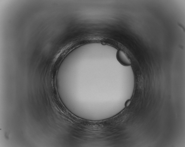 X0000100380731200806060825
