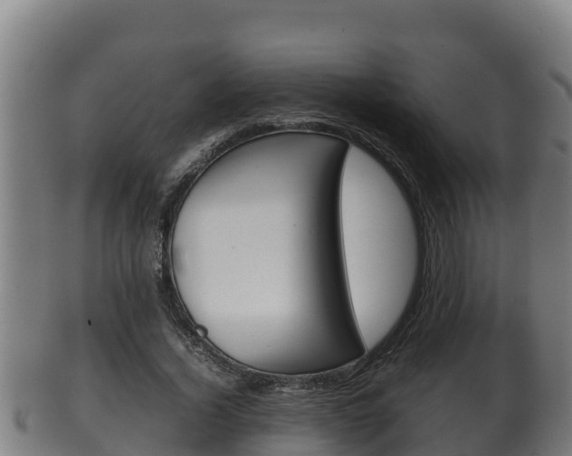 X0000100380732200806060825