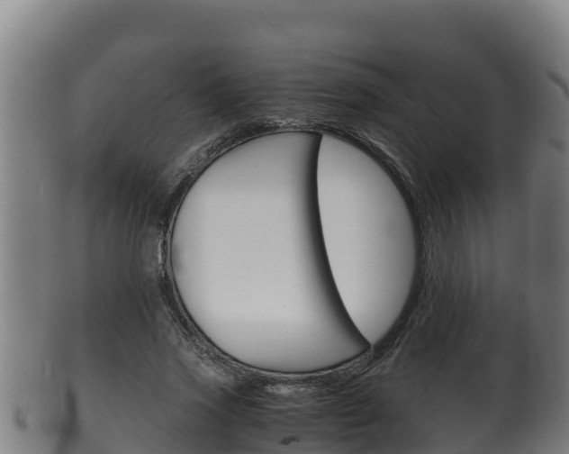 X0000100380733200806060825