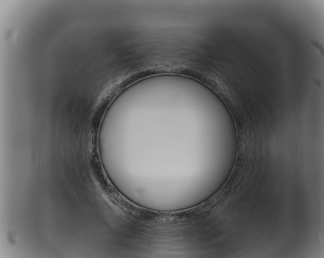 X0000100380736200806060826