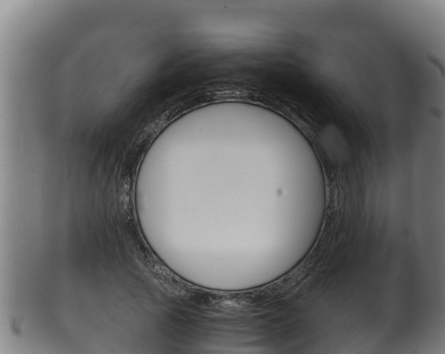X0000100380737200806060826