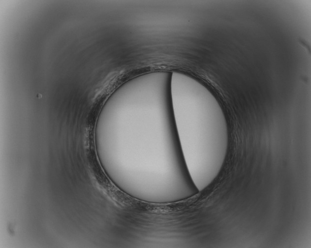 X0000100380738200806060826