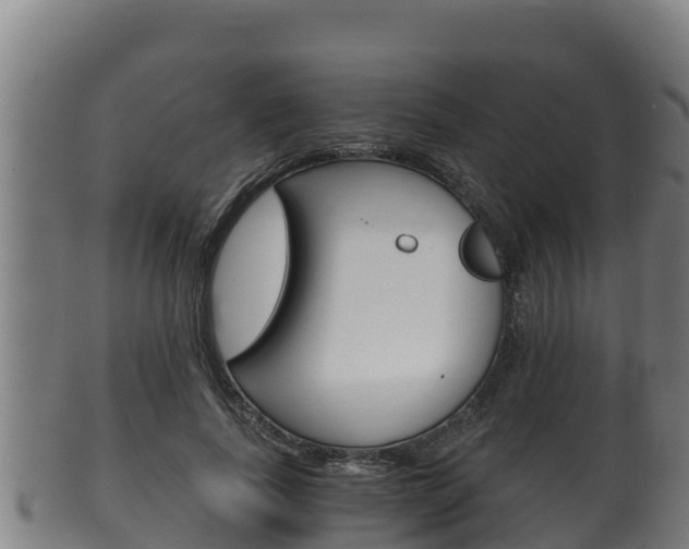 X0000100380739200806060826