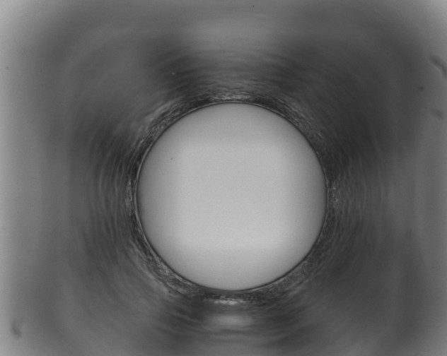 X0000100380741200806060826