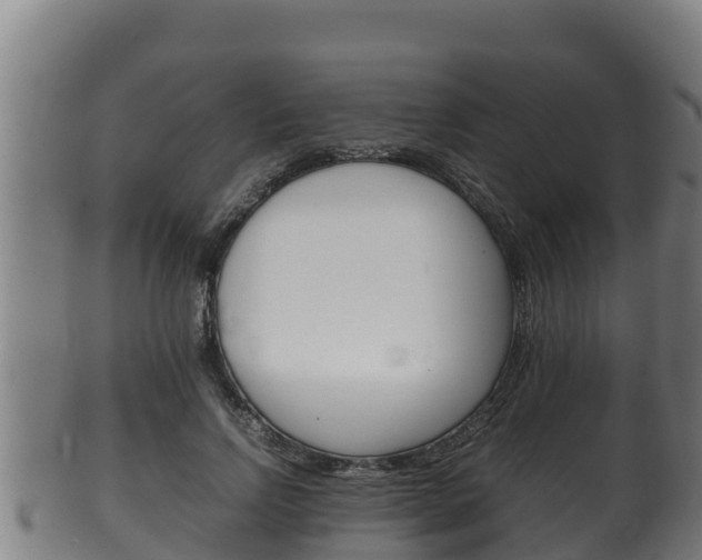 X0000100380742200806060826