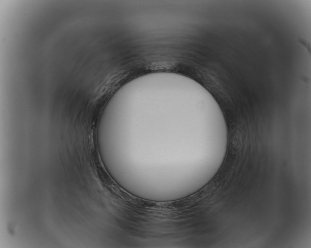 X0000100380743200806060826