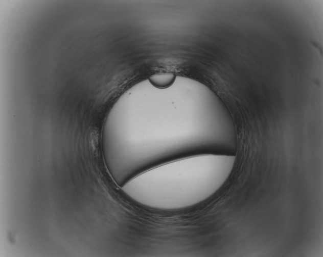 X0000100380747200806060826