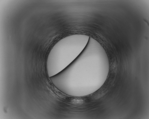 X0000100380749200806060826