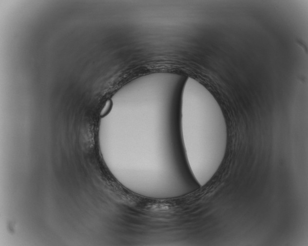 X0000100380751200806060826