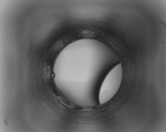 X0000100380752200806060826