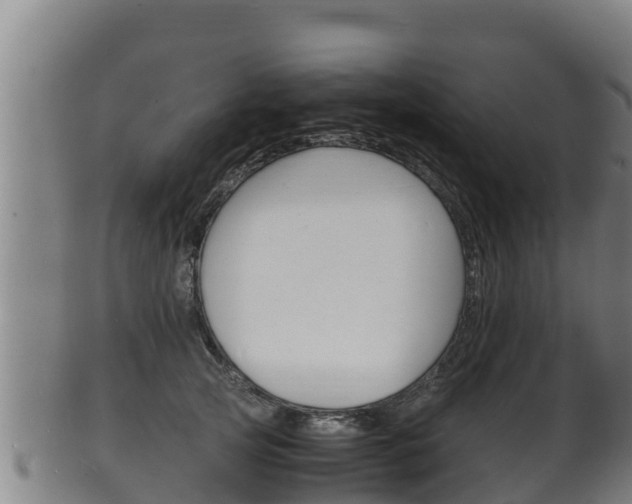 X0000100380753200806060826