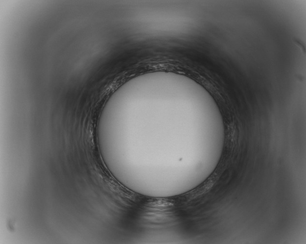 X0000100380754200806060826