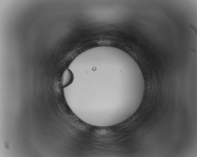 X0000100380755200806060826