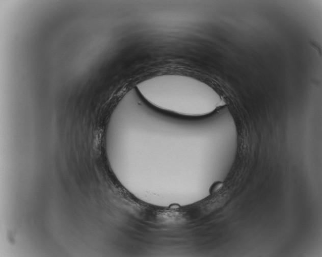 X0000100380759200806060826