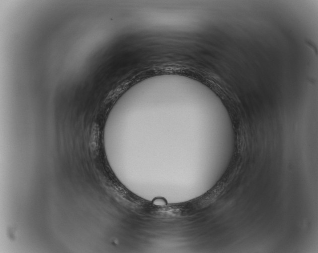 X0000100380760200806060826