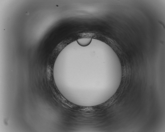 X0000100380761200806060826