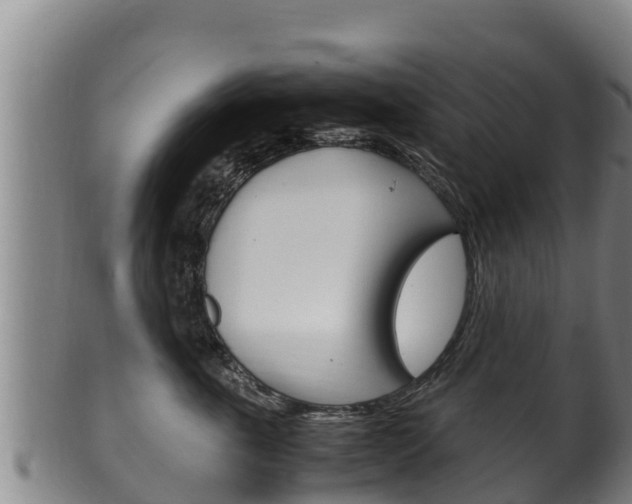 X0000100380763200806060826