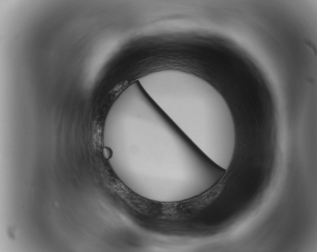 X0000100380766200806060826