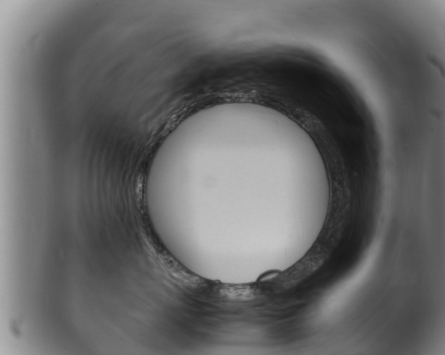 X0000100380767200806060826