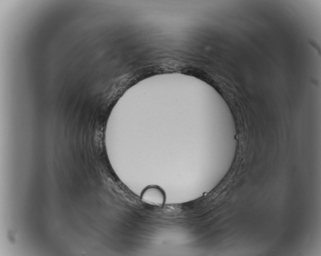 X0000100380768200806060826