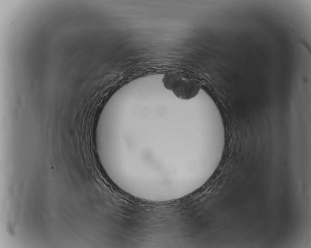 X0000100380769200806060825