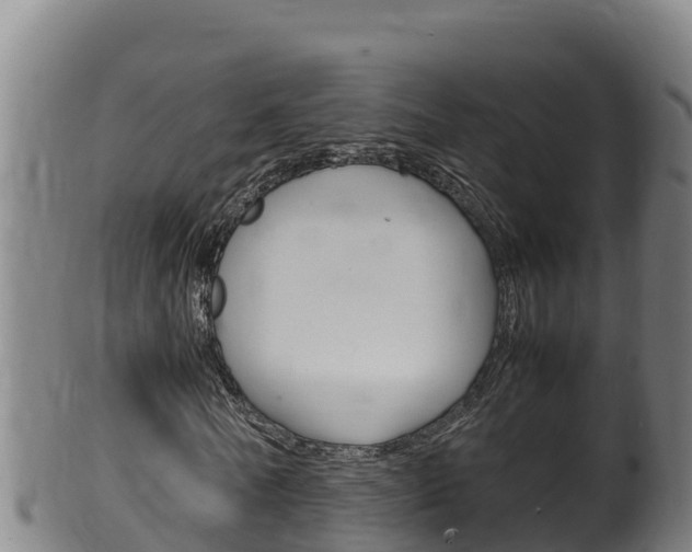 X0000100380770200806060825