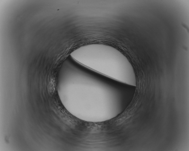 X0000100380772200806060825