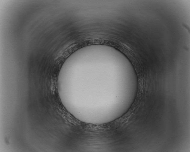X0000100380774200806060825