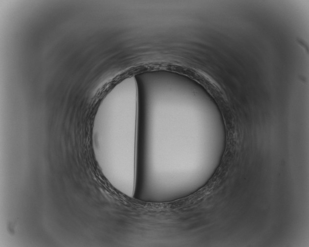 X0000100380775200806060825