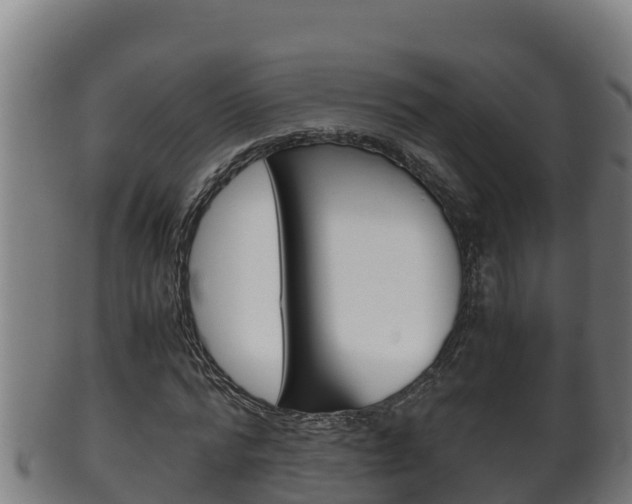 X0000100380776200806060825