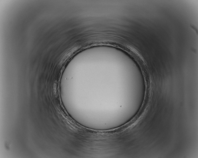 X0000100380777200806060825