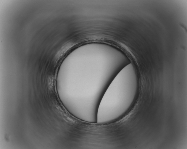 X0000100380778200806060825
