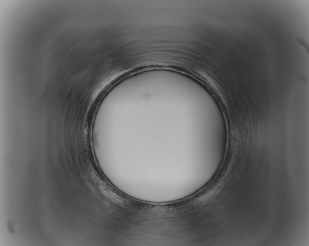 X0000100380779200806060825